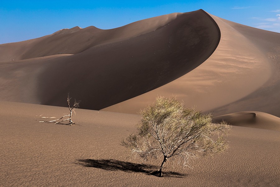 Central Desert in Iran